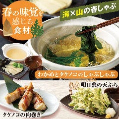 個室完備 まぐろ居酒屋 さかなや道場 名古屋駅太閤通口店_注目は、八丈島の提携農園から毎年仕入れる新鮮な「明日葉」の天ぷら。サクサク食感と心地よいほろ苦さが、この時期ならではの味わいです。さらに磯の香りと歯ごたえが楽しめる「わかめとタケノコのしゃぶしゃぶ」や、春の旨味を閉じ込めた「タケノコの肉巻き」など、旬の味覚を用意して皆様のご来店をお待ちしております！