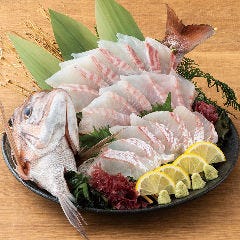 個室完備 まぐろ居酒屋 さかなや道場 名古屋駅太閤通口店_＜横断幕特典＞【秋プレミアム】日~木は更にお得！鯛姿造りや秋刀魚棒寿司8品＋飲み放題付5500円