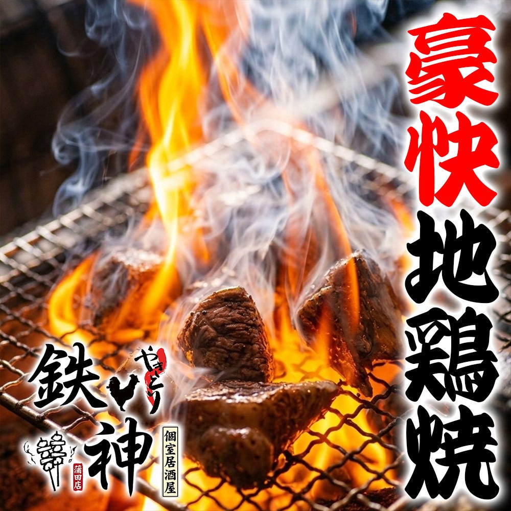 食べ放題 炭火焼鳥 個室居酒屋 鉄神（TESSHIN）蒲田店（蒲田/居酒屋