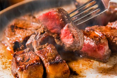 グリル＆バーベキュー プラチナミート 白金肉  コースの画像