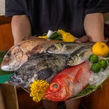市場直送の朝獲れ鮮魚【東京都】