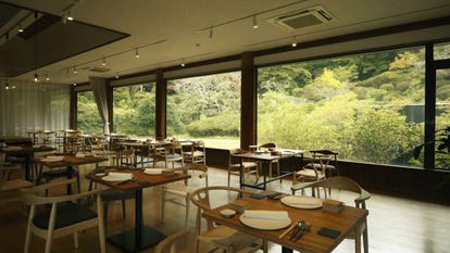 ランチならここ 御船山楽園周辺の昼食 ご飯でおすすめしたい人気レストラン ぐるなび