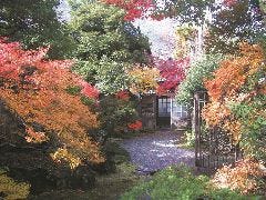 無限庵茶房うるはし