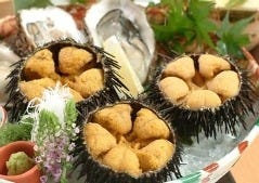 和彩 Seeds