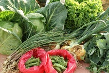 野菜ソムリエのスタッフが自家栽培