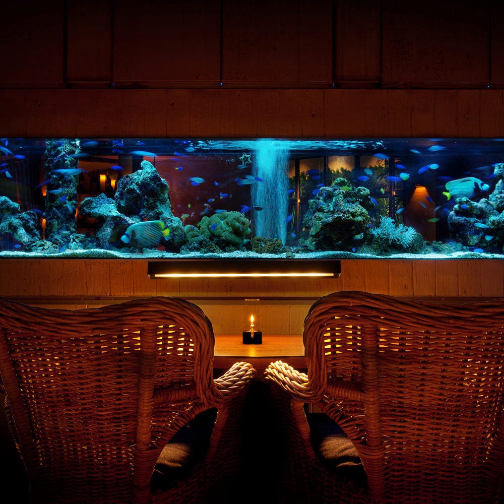 アクアリウムダイニング 新宿ライム 写真 ぐるなび アクアリウムダイニング 新宿ライム 写真 ぐるなび