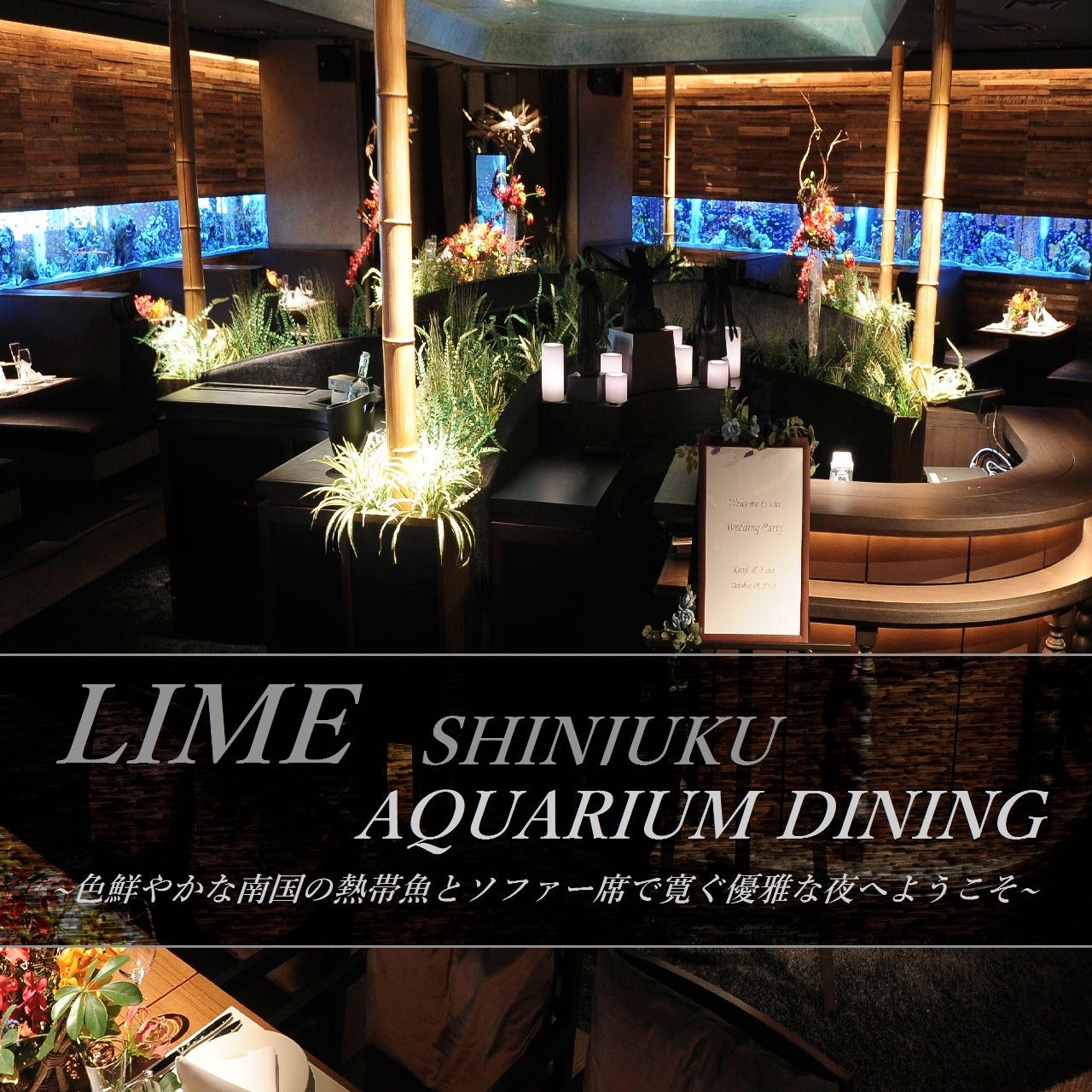 アクアリウムダイニング 新宿ライム 新宿 ダイニングバー ぐるなび