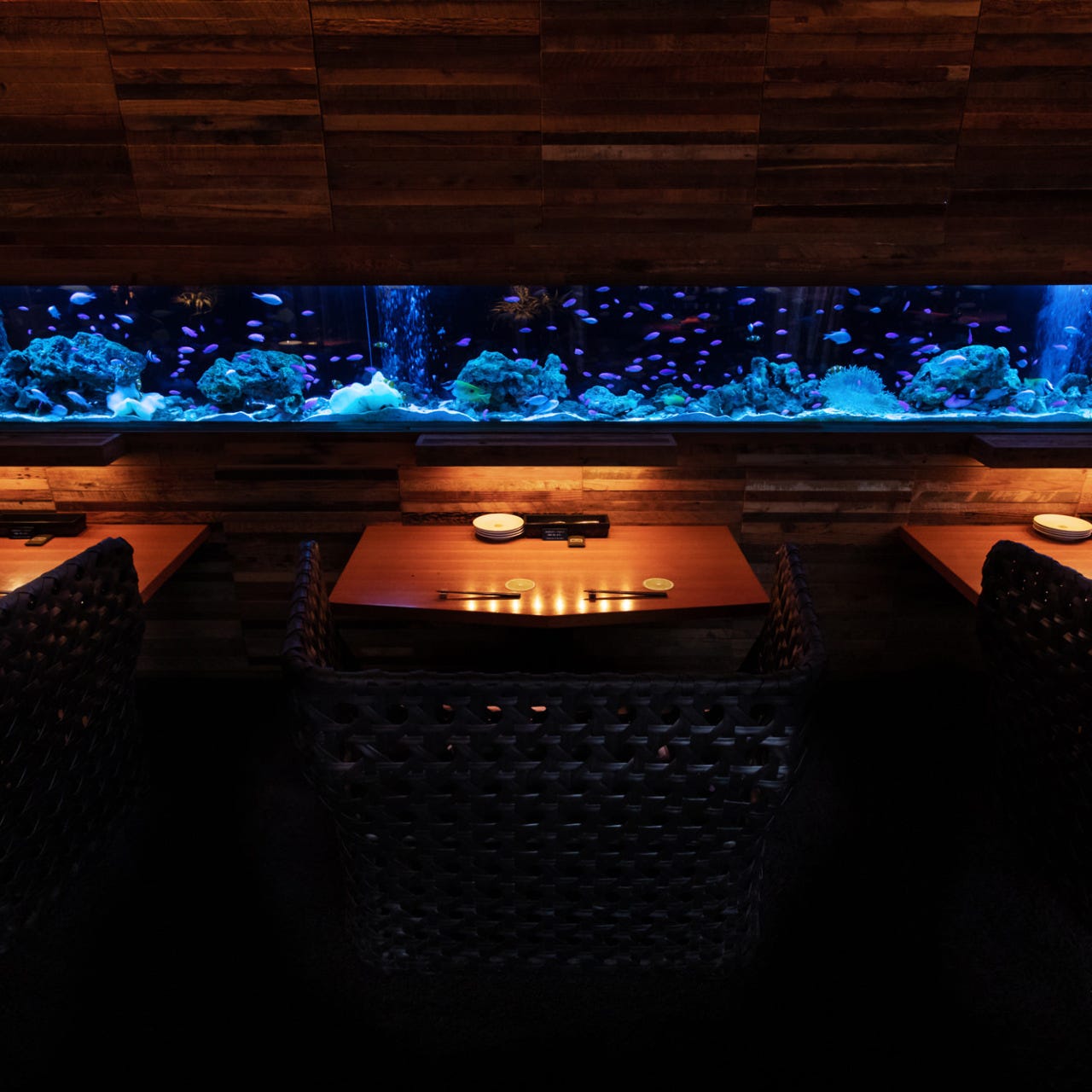 アクアリウムダイニング 新宿ライム 席 個室 席 ぐるなび