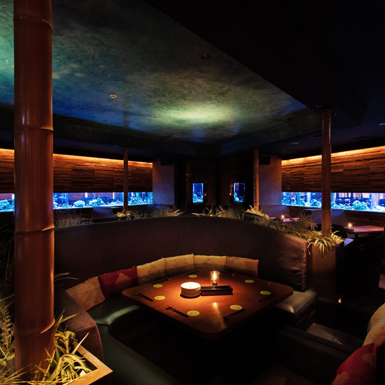 アクアリウムダイニング 新宿ライム 席 個室 席 ぐるなび