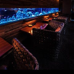アクアリウムダイニング 新宿ライム メニュー 誕生日 記念日 ぐるなび アクアリウムダイニング 新宿ライム メニュー 誕生日 記念日 ぐるなび
