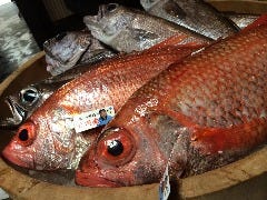 夢処 漁師めし 雑魚や