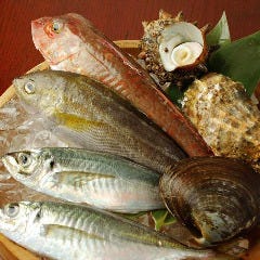 中落ち100円の居酒屋 まぐろんち 高田馬場駅前本店
