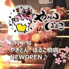 柏 居酒屋 デート
