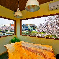 春は最高のロケーション！！佐保川の桜を独り占め♪