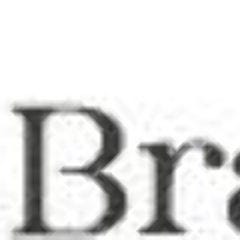 Don Bravoイメージ