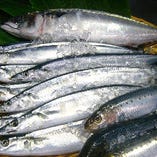 北海道産新秋刀魚