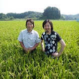 大網市「岩瀬ファーム」の旨いお米【千葉県山武郡大網白里町小中1042】