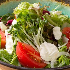 【新鮮】全国から新鮮な旬の野菜を取り寄せてますよ～♪