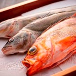 【海の幸】
産地直送の新鮮な魚介をふんだんに使用したお料理