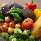 全国の季節野菜や珍しい野菜を毎日仕入れてご提供