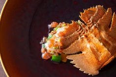 【平日限定】舌尖上的美味 不時不食ディナーコース 9品