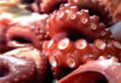 美味しいたこ焼きが食べたい 谷町四丁目でおすすめしたい人気のお店 ぐるなび