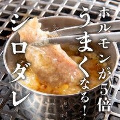 蛇口レモンサワー飲み放題・焼肉ホルモン たけ田 館山店_名物ホルモン5倍旨くなる自慢のタレ