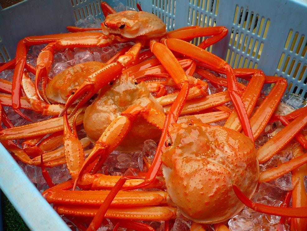 富山県新湊産の紅ずわい蟹をご堪能出来ます。