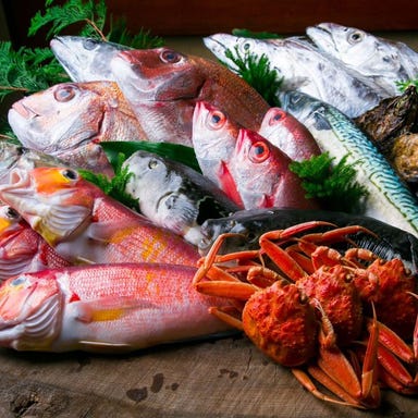 宴会和食居酒屋 藤よし 堺駅前店_宴会・接待にぴったりのコース