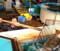 山傳丸 稲毛店