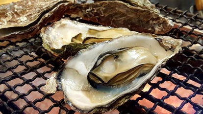 駅近グルメが見つかる 広島駅周辺の食事 ディナーでおすすめしたい人気レストラン ぐるなび