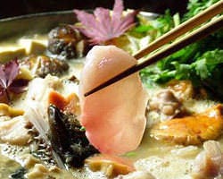 神田 老舗和食 なまこ屋