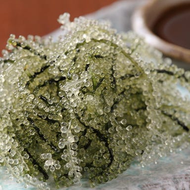 瀬戸海人 新井口店_沖縄直送新鮮海ぶどう