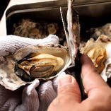 広島県産牡蠣をたっぷりご堪能あれ