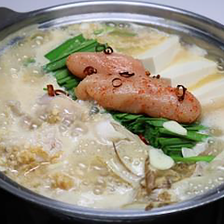 気になる新メニュー・発酵系がずらり勢揃い！『発酵めんたいチーズモツ鍋コース』［全7品］