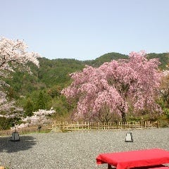 季節の風景を楽しめる8千坪の大庭園