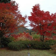 季節の風景を楽しめる8千坪の大庭園