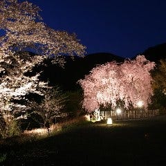 季節の風景を楽しめる8千坪の大庭園