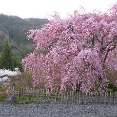 季節の風景を楽しめる8千坪の大庭園