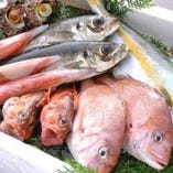 五島列島、館山からの 産直仕入れによる旬の活鮮魚【五島列島】