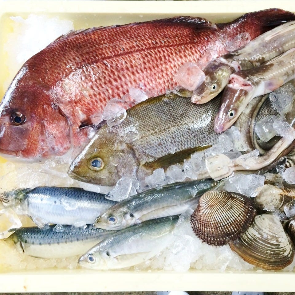 毎日築地から直送される新鮮な魚介類