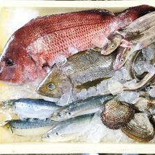 毎日築地から直送される新鮮な魚介類