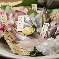 鯛之鯛 梅田店