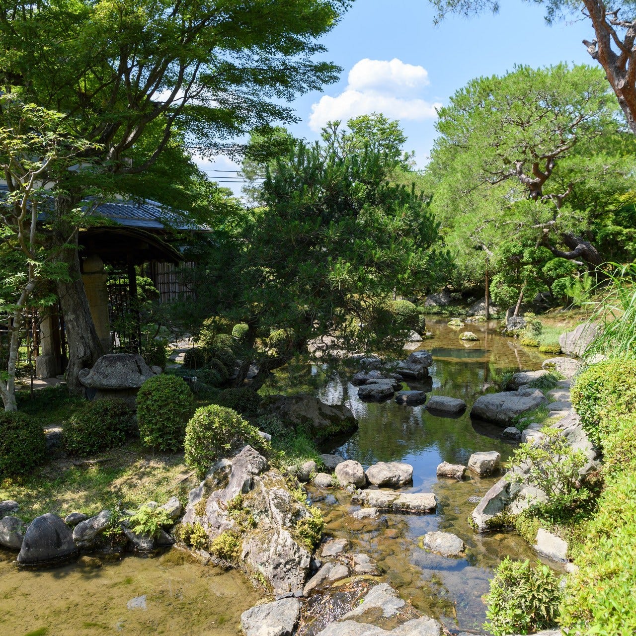 【通常非公開】
7代目小川治兵作の日本庭園を御散策頂けます。