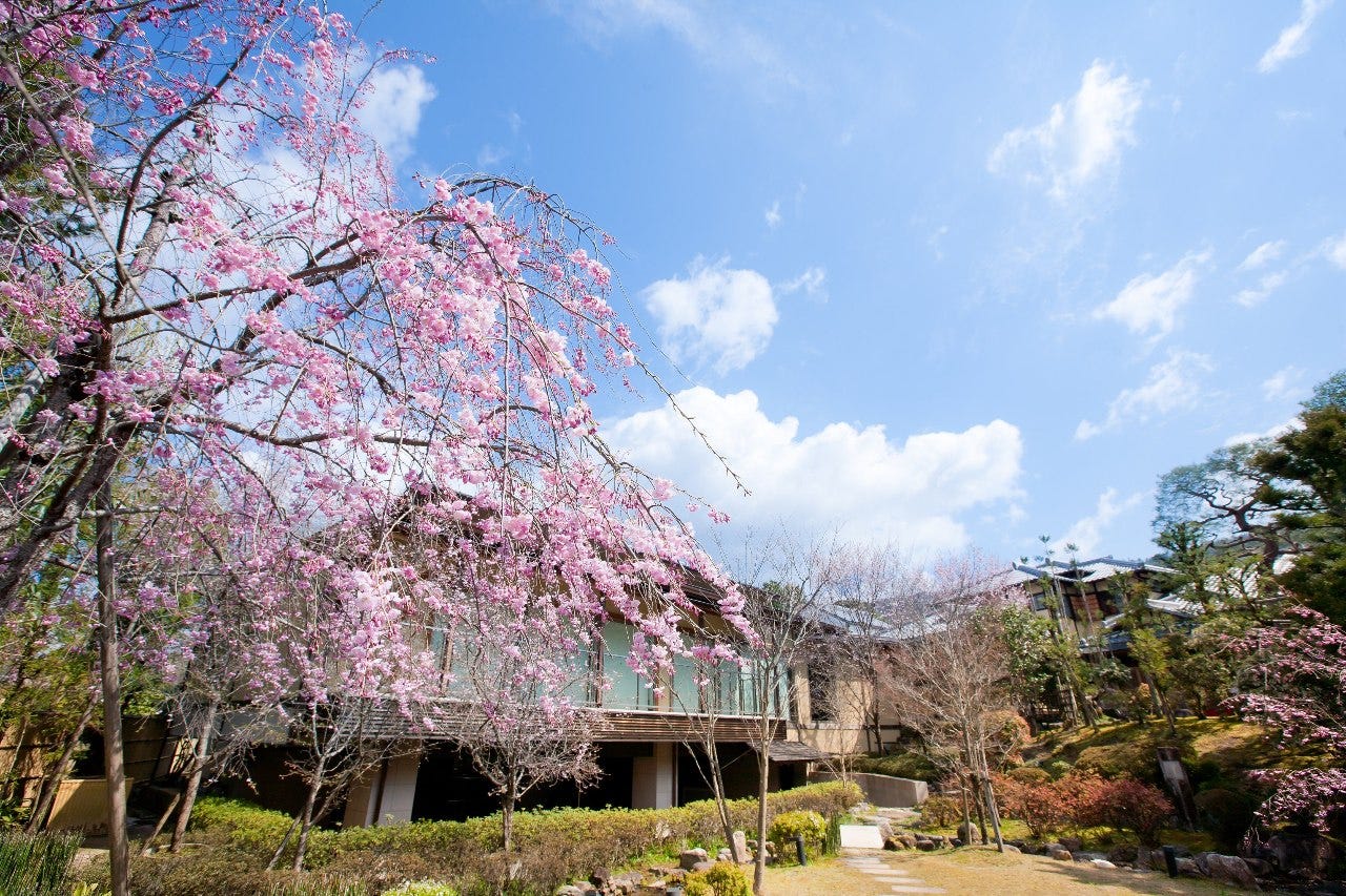 桜鶴苑の四季