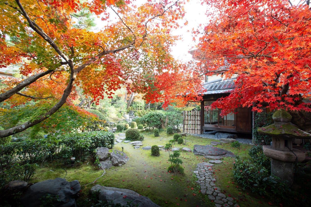 非公開の【植治の庭】散策も楽しめる