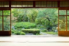 【桜枝垂 】京懐石フルコース×五感で味わう季節料理　【個室確約】