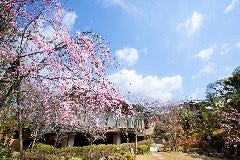 桜鶴苑の四季