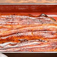 新宿 うなぎ うな桜