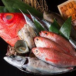 魚も、博多の台所「柳橋連合市場」より、その日一番の活きの良い魚を、厳選して仕入れています
